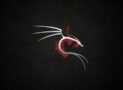 Kali Linux for Pentesters and Ethical Hackers Practice Tests