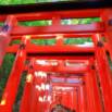 Katakana Basics Online Course | Japanese for Beginners