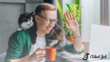 Land a new digital job during the pandemic – by iTalentJob!
