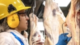 Lead Frontline Safety At Teys Australia – Induction