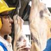 Lead Frontline Safety At Teys Australia – Induction