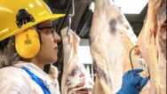 Lead Frontline Safety At Teys Australia – Induction