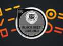 Lean Six Sigma Black Belt – Exam Preparation 2026