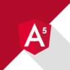 Learn Angular 5 from Scratch