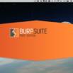 Learn Burp Suite, the Nr. 1 Web Hacking Tool