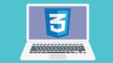 Learn CSS Basics