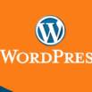 Learn How To Make A WordPress Website 2018