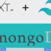 Learn Next.js with tailwind CSS, MongoDB and Express.Js