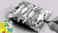 Learn Photo Realistic Drawing With Paintology