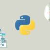 Learn Python Programming Language Basics For FREE