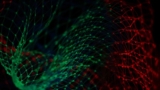 Learn The Basics Of Python