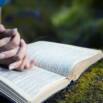 Learn to Become a Bible Study Pro! (All levels)