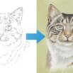 Learn to Draw a Tabby Cat | Amazing Results for Beginners