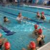 Learn To Swim The Basics Of Freestyle Swimming