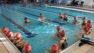 Learn To Swim The Basics Of Freestyle Swimming