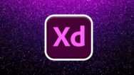 Learn UI UX Design Adobe XD : Learn User Experience Design