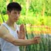 Learn Wing Chun Sil Lim Tao At Home Free! With David Wong