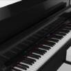 Learn Your Favourite Pop Songs On Piano