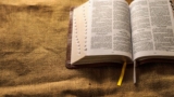 Create an Irresistible Resume for Your Dream Job