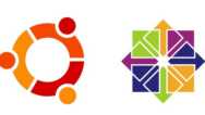 Learning Linux With Ubuntu And Centos: The Easy Way