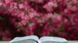 Learning The Book Of Habukkuk