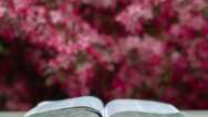 Learning The Book Of Habukkuk