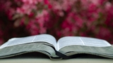 Learning The Book Of Zephaniah