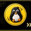Linux Bash Shell Scripting Incl. AWK, SED and 10+ Projects