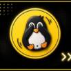 Linux Bash Shell Scripting Incl. AWK, SED and 10+ Projects