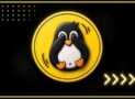 Linux Bash Shell Scripting Incl. AWK, SED and 10+ Projects