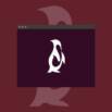 Linux Basics For Beginners.