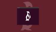 Linux Basics For Beginners.