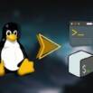 Linux Commands Line Certification Prac. Test | 90+ Commands
