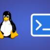 Linux For Absolute beginners