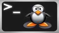 Linux Mastery: CLI & Kali Commands Practice Tests pro