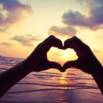 Live Your Dream