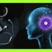 Machine Learning, AI & Neural Networks: A Complete Course