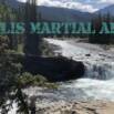 Martial Arts Fundamentals of Striking