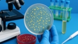 Master Bacteriology :Hands-On Lab Skills for Beginners