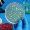 Master Bacteriology :Hands-On Lab Skills for Beginners