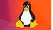 Master BASH Commands From Zero to Hero in Shell Scripting