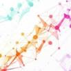 Master Product Development: From Idea to Market Success