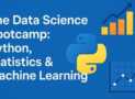 Master Python & ML: Stats, Analysis & Data Visualization