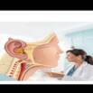 Mastering ENT Disorders: Diagnosis & Treatment