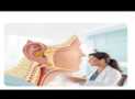 Mastering ENT Disorders: Diagnosis & Treatment