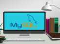 Mastering MySQL: Build and Manage Databases Like a Pro