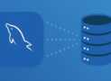 Mastering MySQL: From Beginner to Advanced