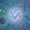 MCAT Biochemistry Practice Tests 2026: Amino Acids & Protein