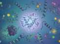 MCAT Biochemistry Practice Tests 2026: Amino Acids & Protein