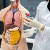 Medical Coding Part 2: CPT Coding & Medical Billing Basics